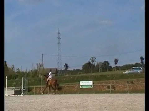 Roxana et moi - Séance Obstacle 24 Juin 2010