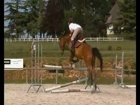 Roxana et moi - Séance Obstacle 24 Juin 2010