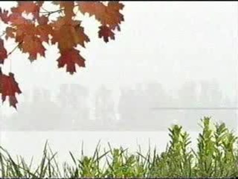 Nelly Furtado y Juanes