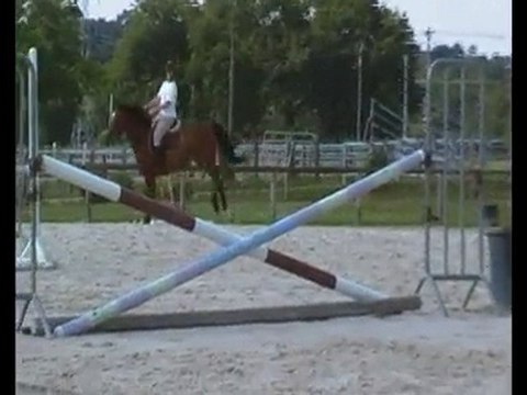 Roxana et moi - Séance Obstacle 24 Juin 2010