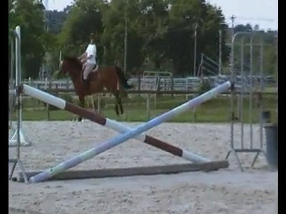 Roxana et moi - Séance Obstacle 24 Juin 2010