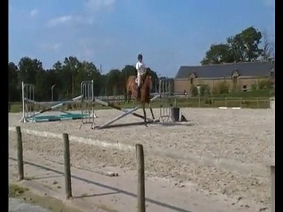 Roxana et moi - Séance Obstacle 24 Juin 2010