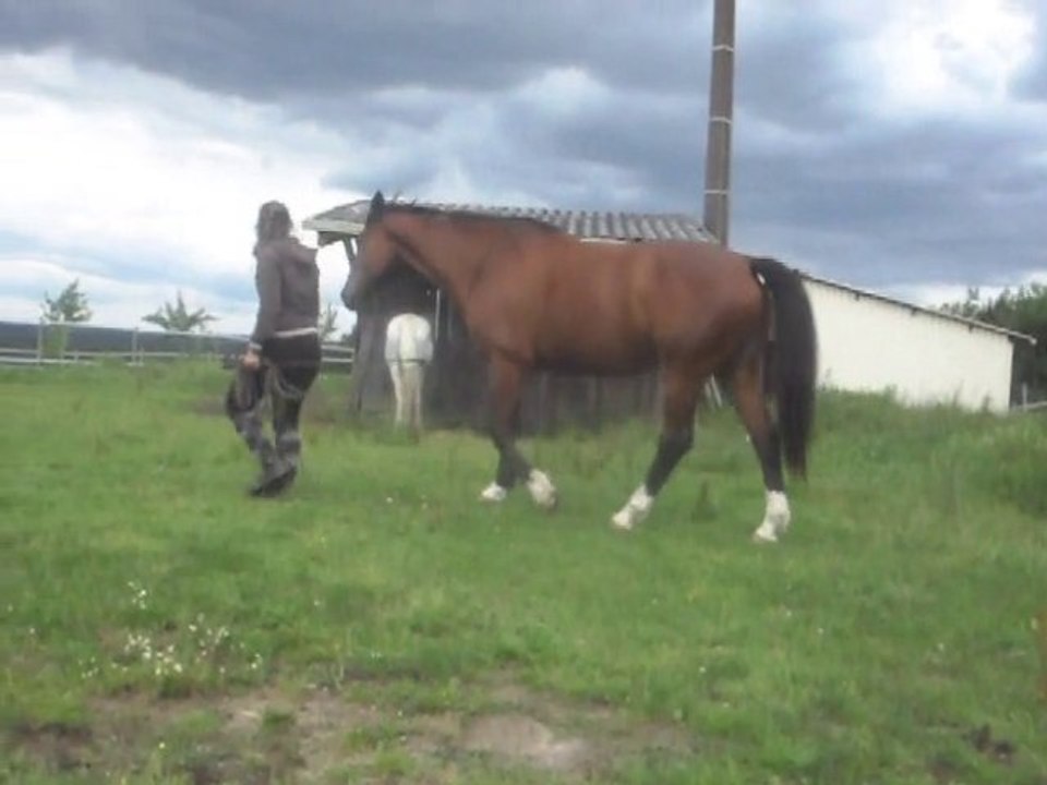 Dimanche 20 Juin