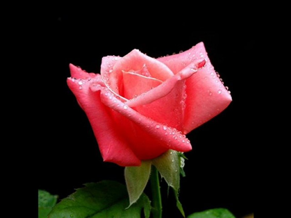 Yusuf_Ziya_Ozkan-Kabirden_Mektup Hayırlı Cumalar