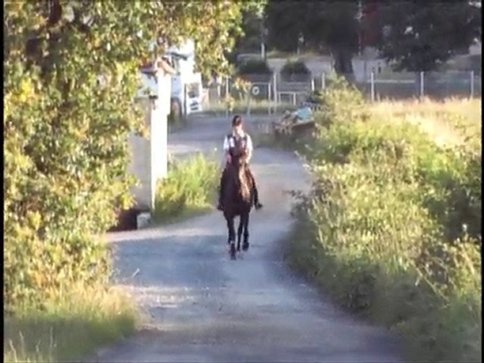 Olten_trot_24juin2010