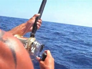 thon géant part1 by Bastia Offshore Fishing Club