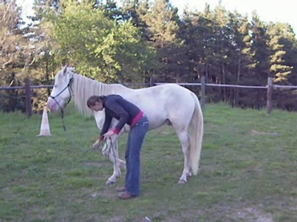 IMGP0770