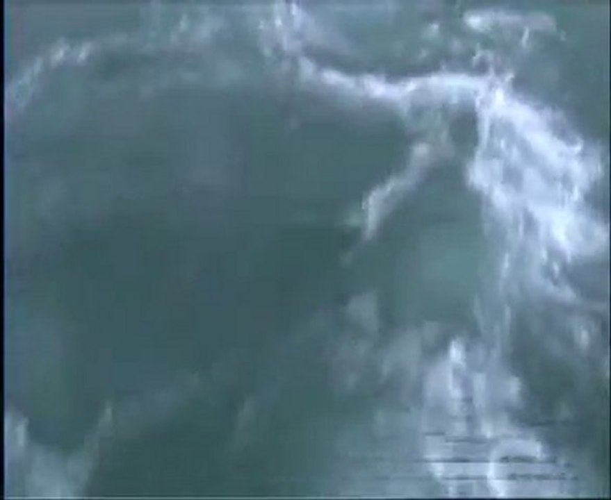 storm11