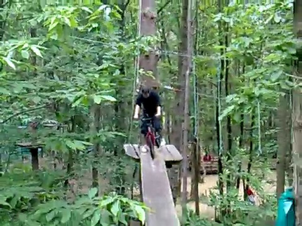 greg velo
