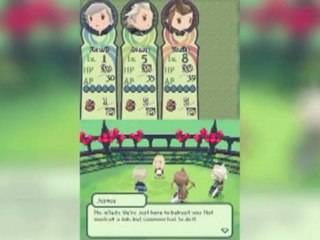 Final Fantasy: The 4 Heroes of Light-E3 2010:Debut Trailer