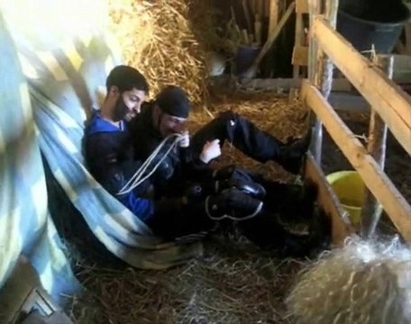 Gears Of War 3 le film partie 2 + Bonus a la fin by XD67