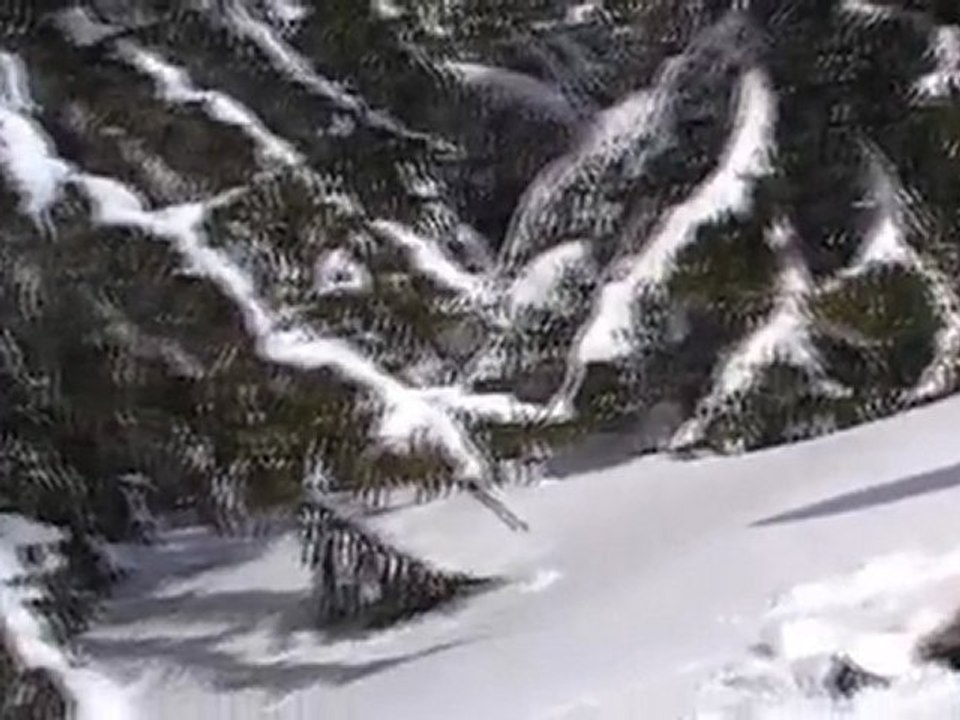 Snuffeur dans la poudreuse