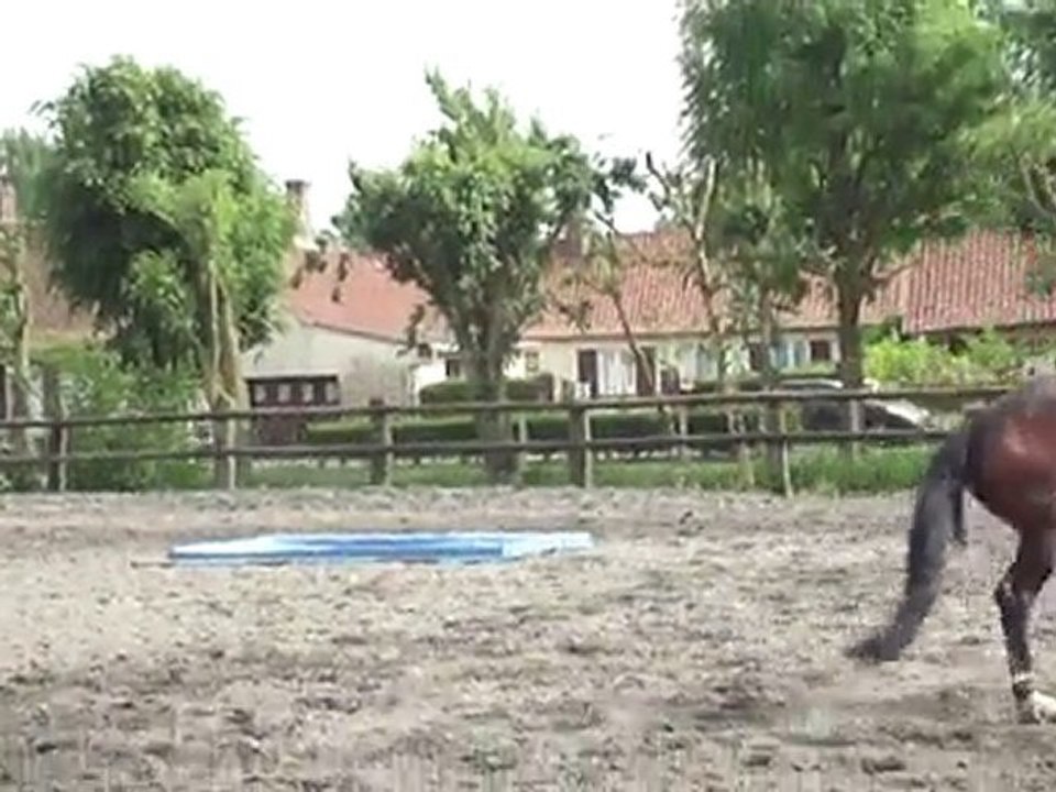 Parcour; Solène sur Jalousie