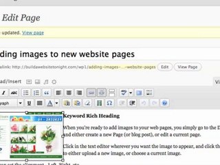 33 Top Website Tips - 19, by Teena Hughes
