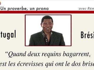 Un proverbe, un prono : Portugal - Brésil