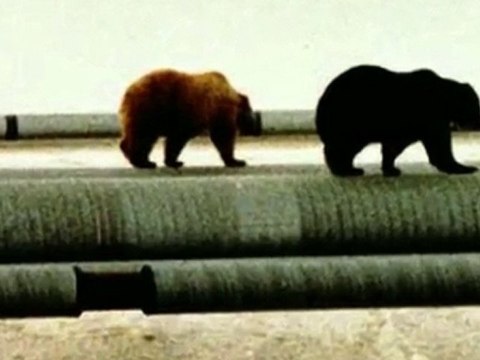 Sarah Palin's 80 million Gallons Safe BP Oil Spill