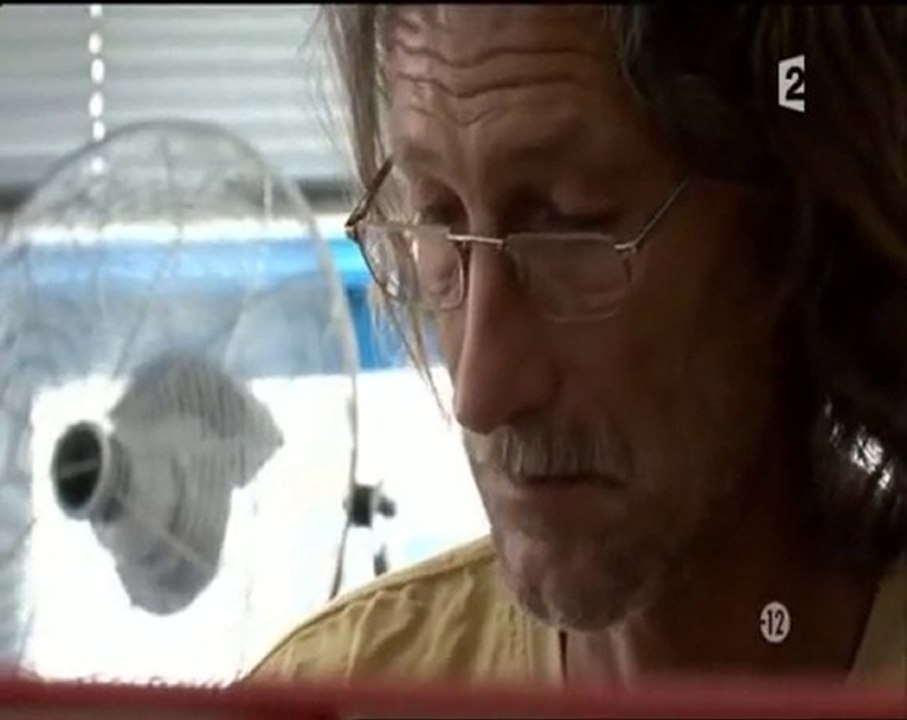 SANS BLESSURES APPARENTES (3)
