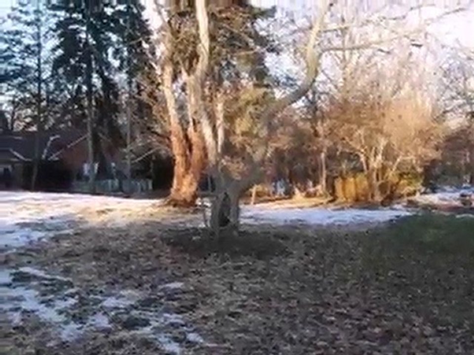 Homes for Sale - 802 Edgewater Dr - Naperville, IL 60540 - C