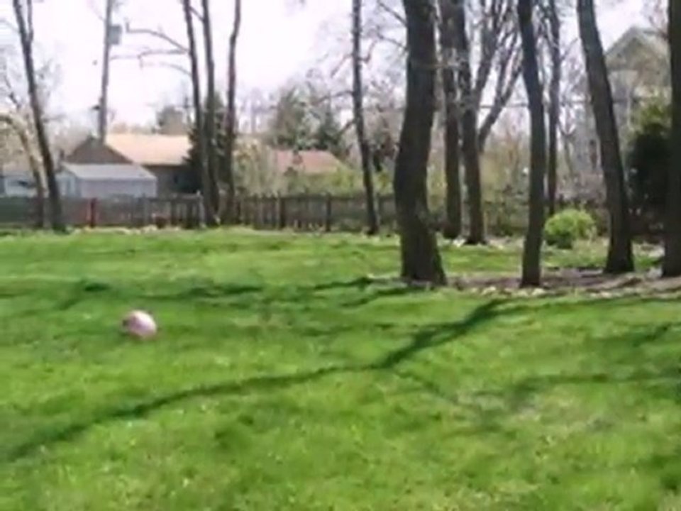 Homes for Sale - 900 E Hillside Rd - Naperville, IL 60540 -