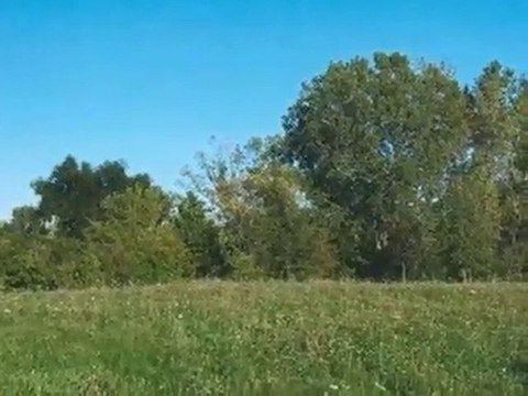 Homes for Sale - 6 Kaleigh Ct - South Barrington, IL 60010 -