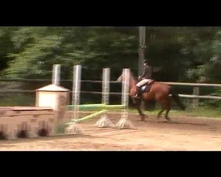 Concour interne 80 cm avec Distant