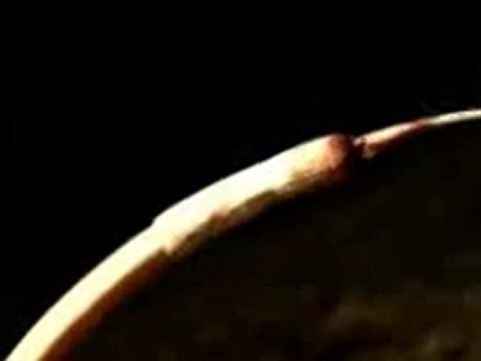 Splice TV SPOT 2 VOSTFR