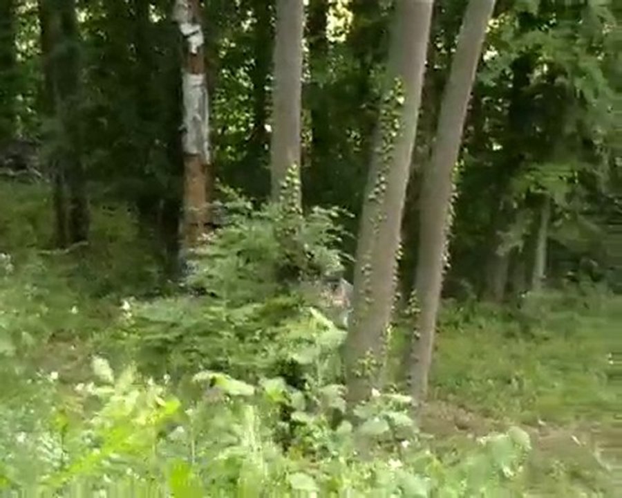 OP battle cauvigny partie GBB improvisée