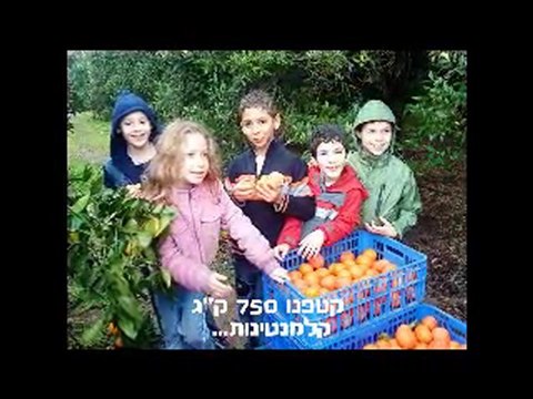 סרט סוף שנה בכור לוי ב1 תש ע