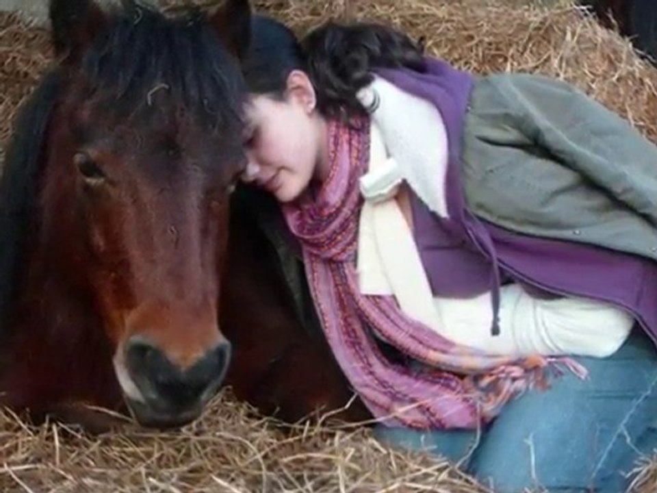 Equi Loisirs.
