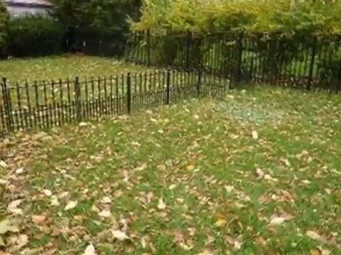 Homes for Sale - 15 S Webster St - Naperville, IL 60540 - Co