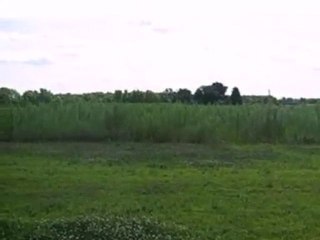 Homes for Sale - 0 W Central Ave - Wheatfield, IN 46392 - Co