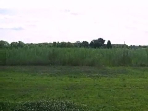 Homes for Sale - 0 W Central Ave - Wheatfield, IN 46392 - Co