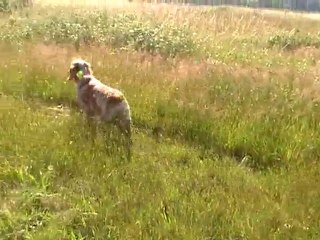 DOMAINE DU PERIGAL 2