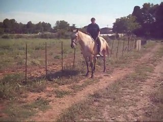 Jump à cru en licol