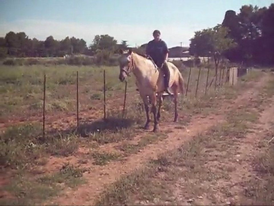 Jump à cru en licol