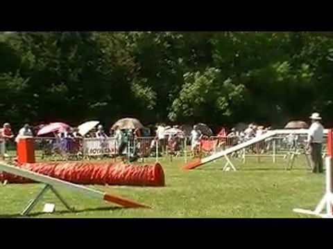 STGR Miramas 2010 Dream Agility 1