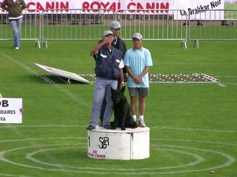 Bob à Mauguio - Finale RING 2010