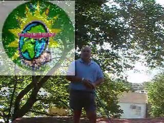 How To Restore and Seal all Homes Eco-Friendly