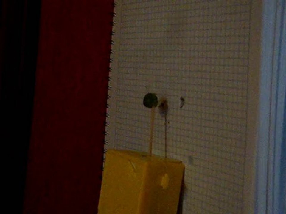 Desert Eagle - 10metre - Hedef: Bezelye