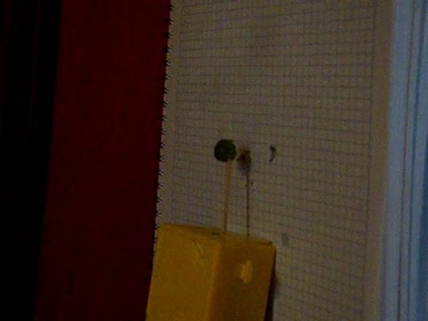 Desert Eagle - 10metre - Hedef: Bezelye