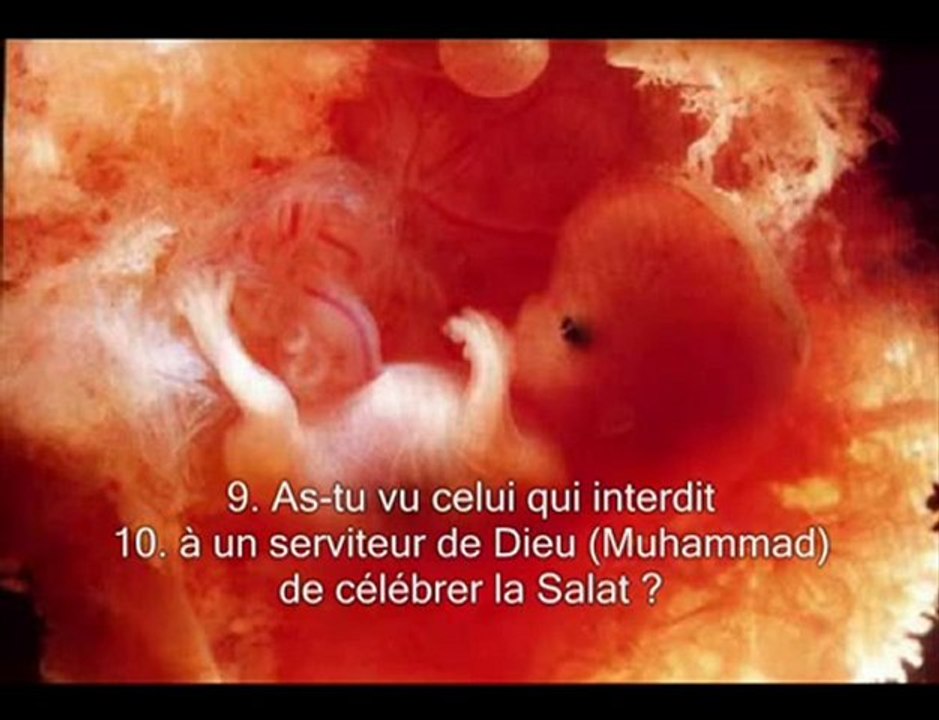 Le saint Coran Sourate 96  L'adherence (Al-Alaq)