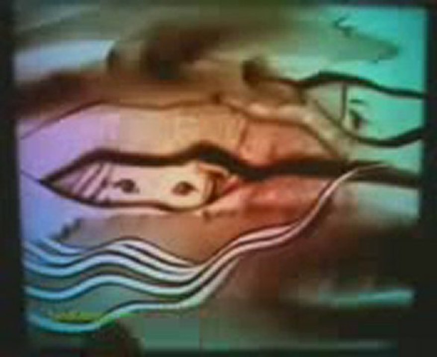 HOZAN BEŞİR-feridem