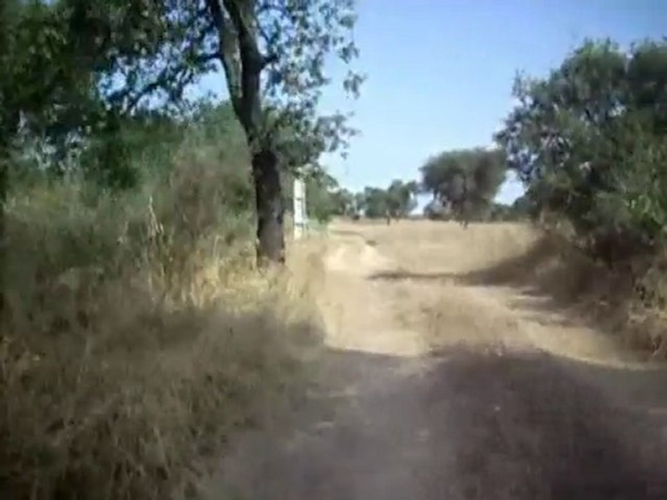 btt_sao_boaventura