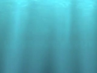 08 juin 2010 La Vague BLEUE 1ere partie