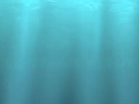 08 juin 2010 La Vague BLEUE 1ere partie