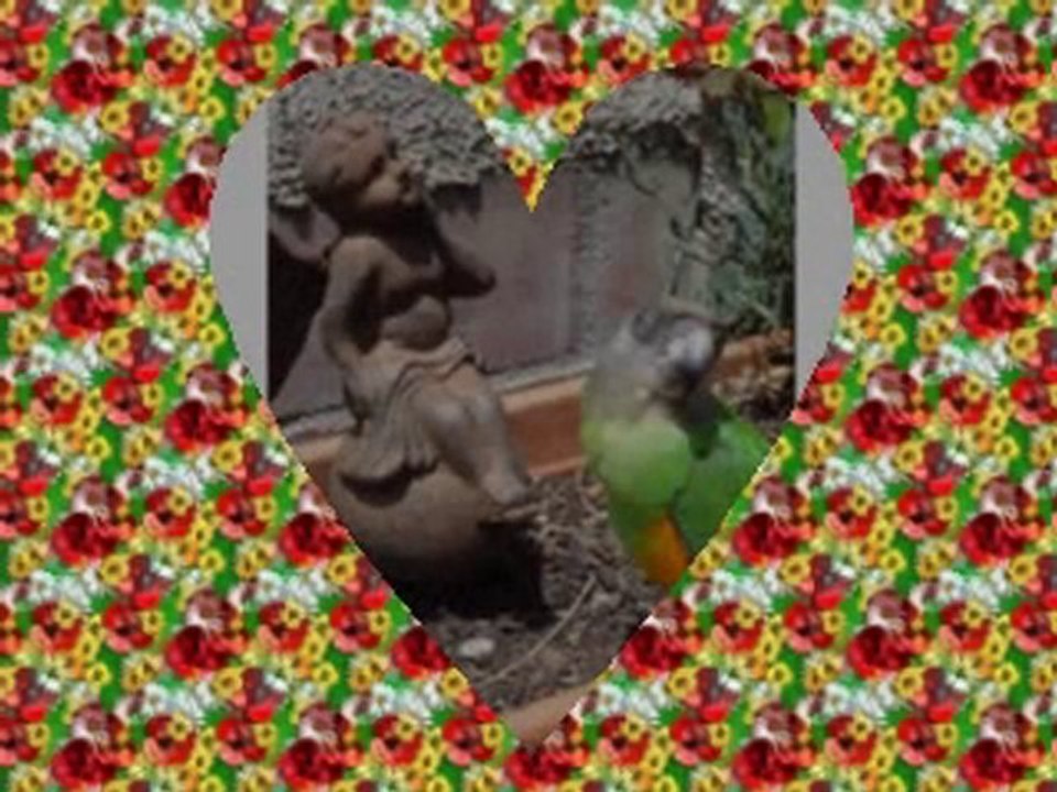 mon premier diaporama de Rubis