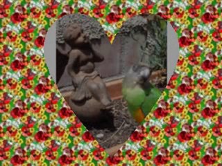 mon premier diaporama de Rubis