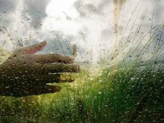 El paso de las lágrimas. Romà Alonso