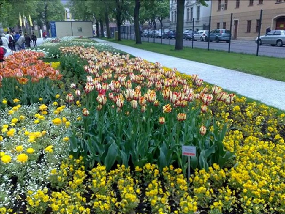 Landegartenschau in Aschersleben Mai 2010(Sachsen Anhalt)