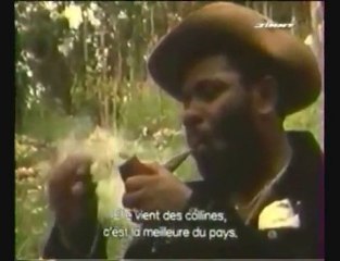 JOSEPH COTTON BREAKING NEWS   (June 2010 )